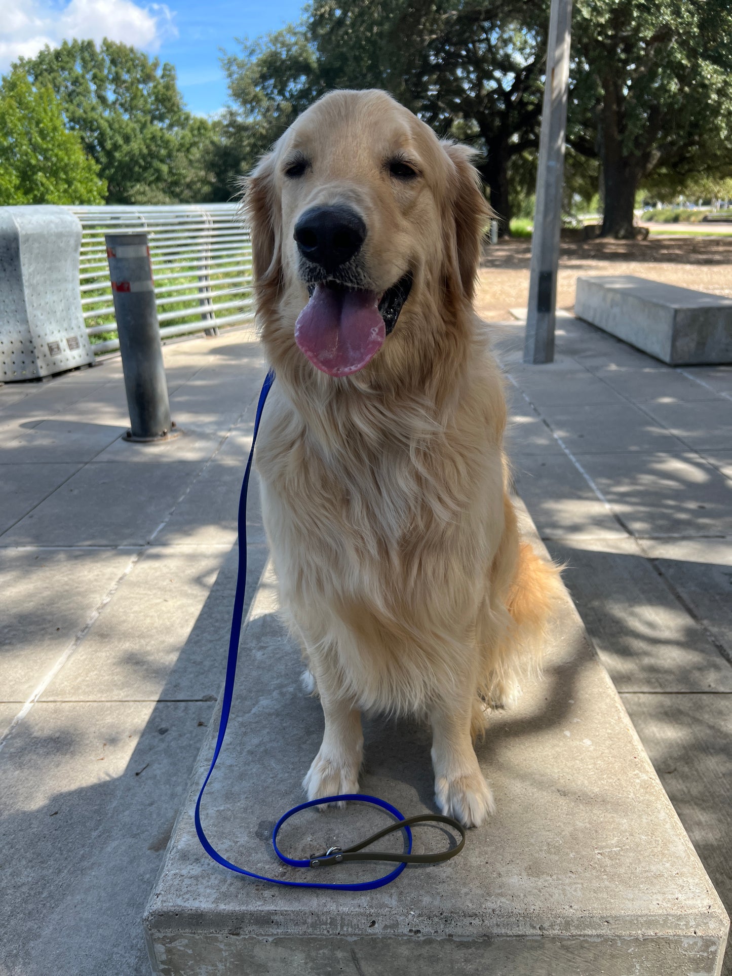 Combo Training Leash